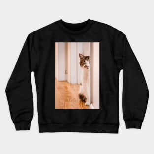 Lexy Crewneck Sweatshirt